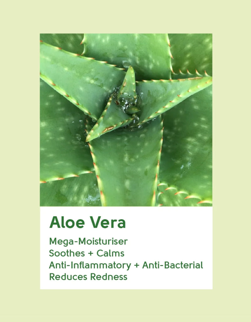 𝗙𝗮𝗰𝗲 𝗙𝗮𝗰𝘁𝘀 Aloe Vera Hydrating Night Cream 50 ML
