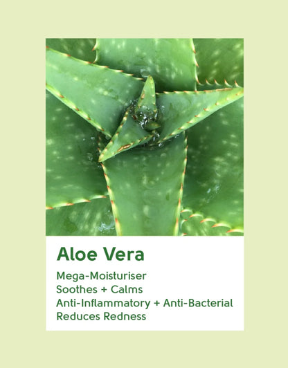 𝗙𝗮𝗰𝗲 𝗙𝗮𝗰𝘁𝘀 Aloe Vera Hydrating Night Cream 50 ML