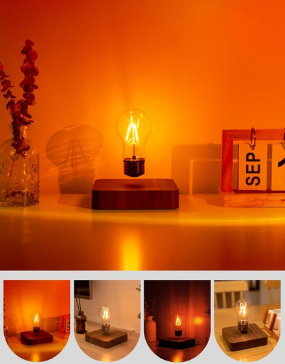 Self Electonics Levitating Light Bulb