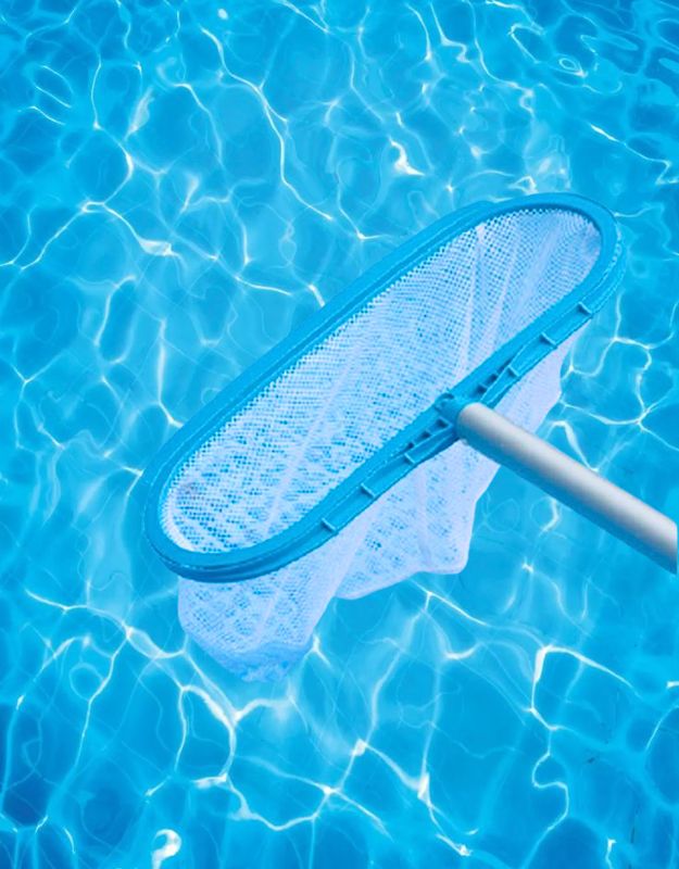 Blue pool landing net submerged in clear swimming pool water.