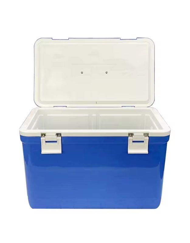 Blue cooler box open showing spacious insulated interior.
