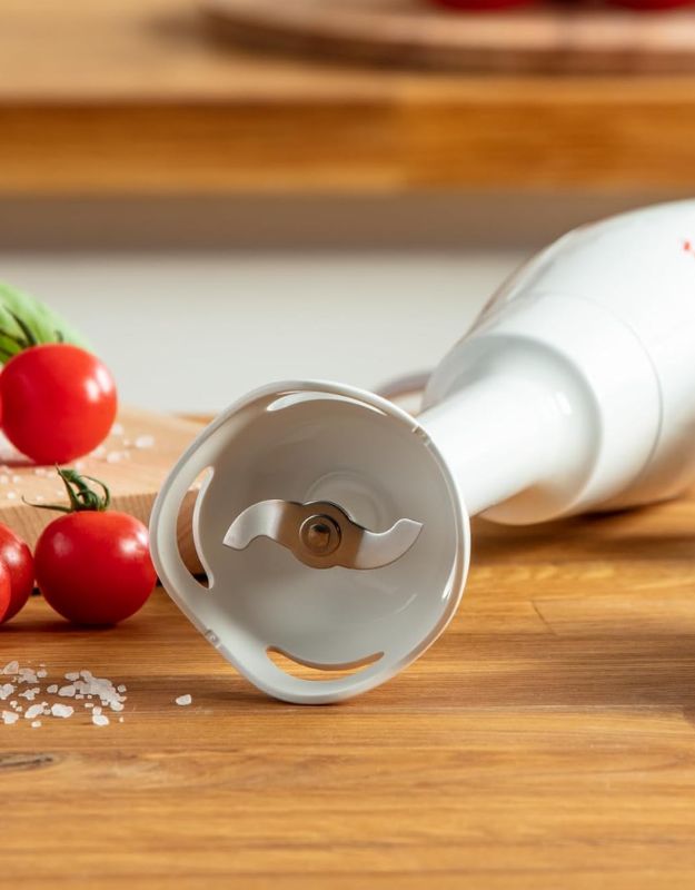 Moulinex easy-to-use hand blender resting on a kitchen counter beside fresh tomatoes and salt, highlighting stainless steel blade design