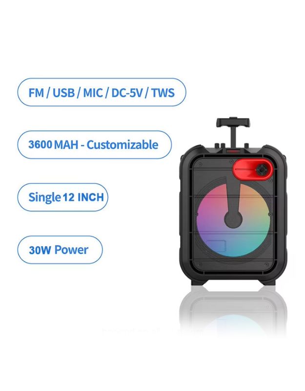 Specifications of portable 12-inch Bluetooth speaker with 3600mAh battery and 30W power.